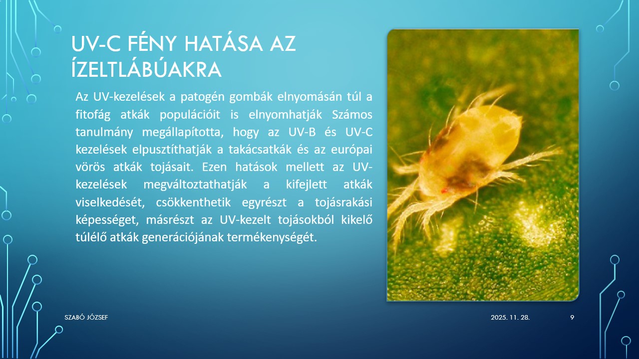 Hatás ízeltlábakra